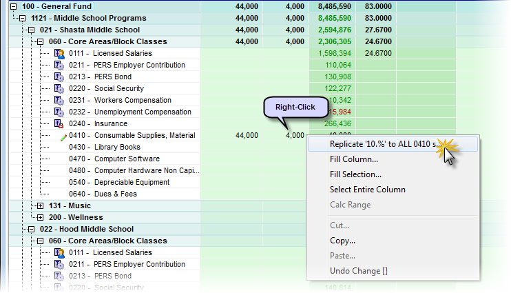 Financials_ReplicateRightClickOnAdjust